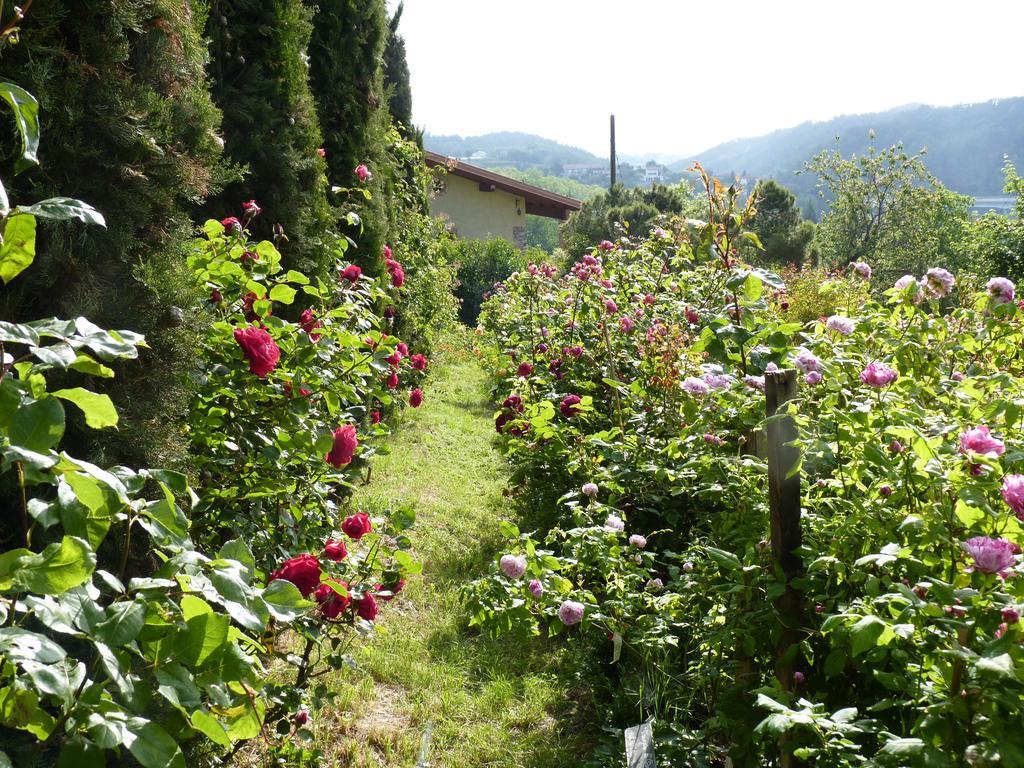 B&B The Roses Garden Millesimo Exterior foto